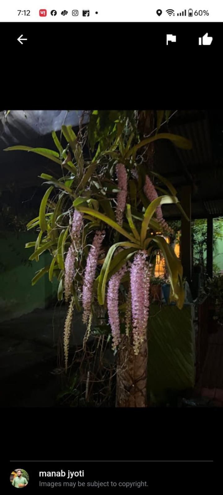 Orchid Park Homestay Sivasagar Eksteriør bilde